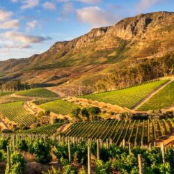 Cape Town On Show